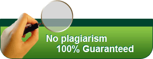 No Plagiarism